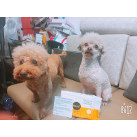 遛完小孩回家擦腳好方便！by張O雯  
